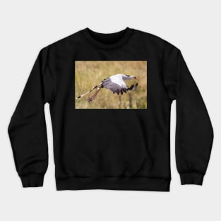 Secretary Bird in flight Crewneck Sweatshirt